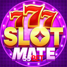 Experiência VIP 55bet